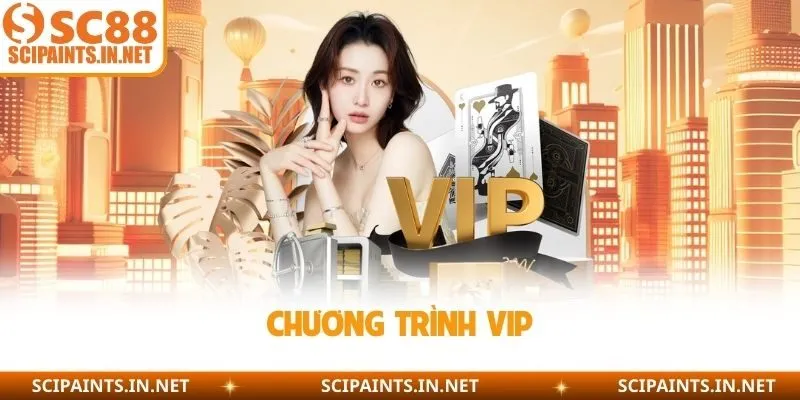 Chương trình VIP