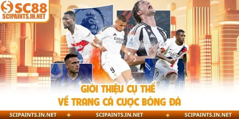 Giới thiệu cụ thể về trang cá cược bóng đá