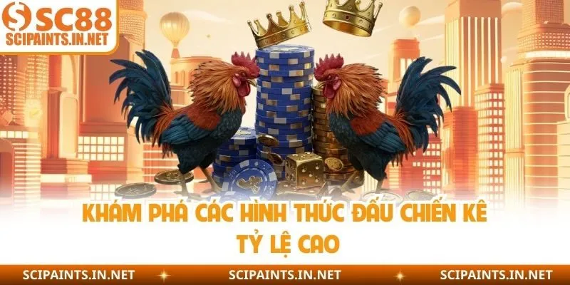 Khám phá các hình thức đấu chiến kê tỷ lệ cao