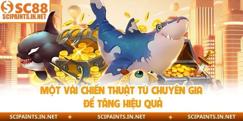 Một vài chiến thuật từ chuyên gia để tăng hiệu quả 