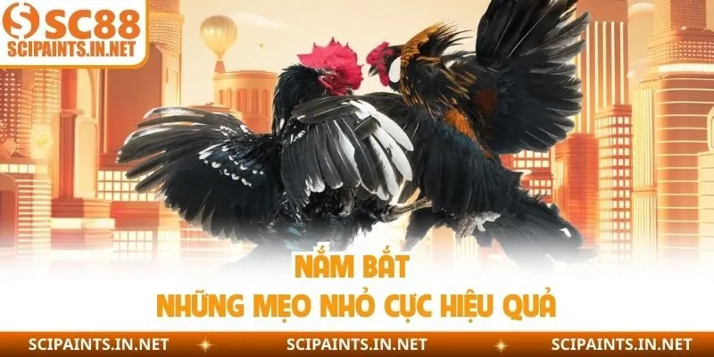 Nắm bắt những mẹo nhỏ cực hiệu quả