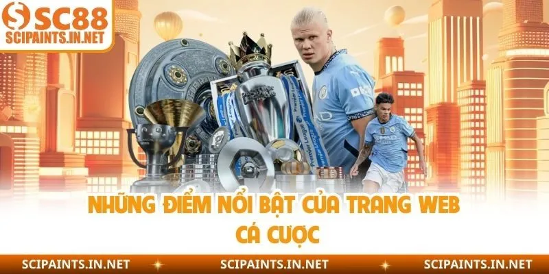 Những điểm nổi bật của trang web cá cược 