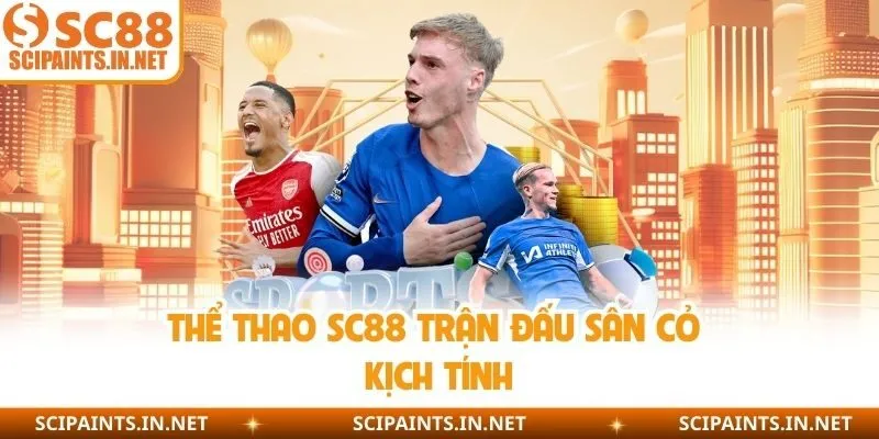 Thể thao SC88 trận đấu sân cỏ kịch tính 