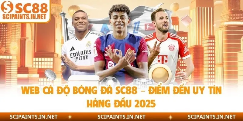 Web cá độ bóng đá